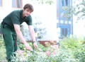 Vorschau: Ein Mitarbeiter beschneidet eine bunte, flache Hecke vor einer Wohnanlage 